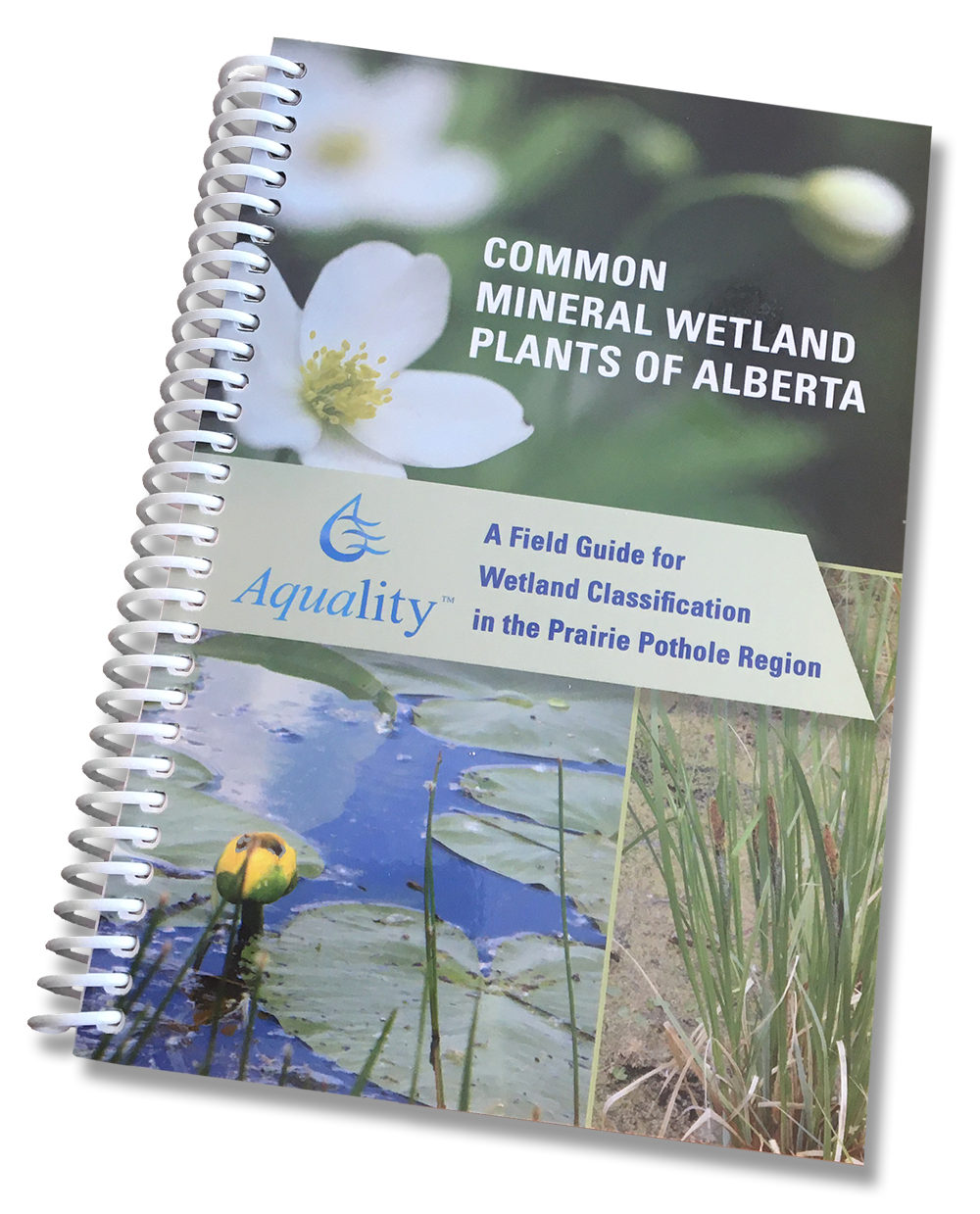 Wetland-Plants-Field-Guide